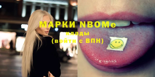 дмт Богданович