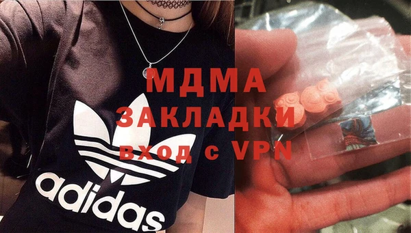 дмт Богданович