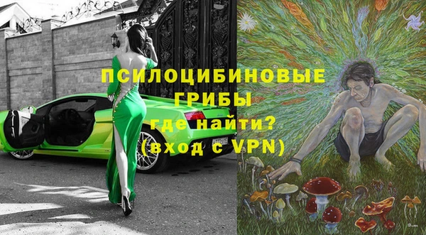 дмт Богданович