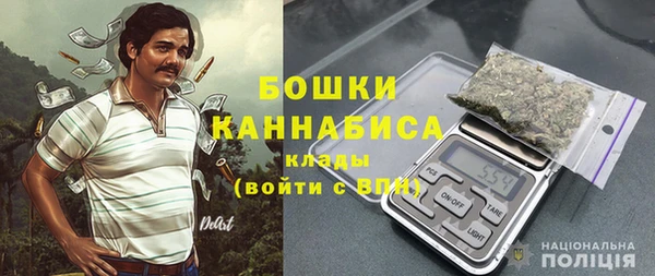 дмт Богданович