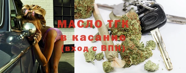 дмт Богданович