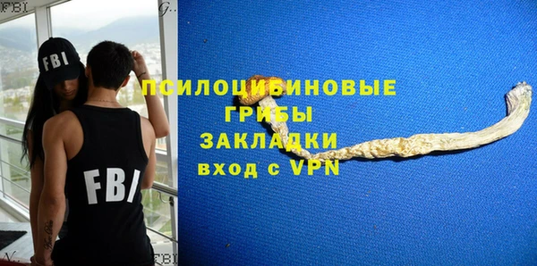 дмт Богданович